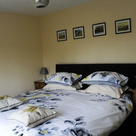 Bro Dafydd Bed & Breakfast Aberystwyth Luaran gambar