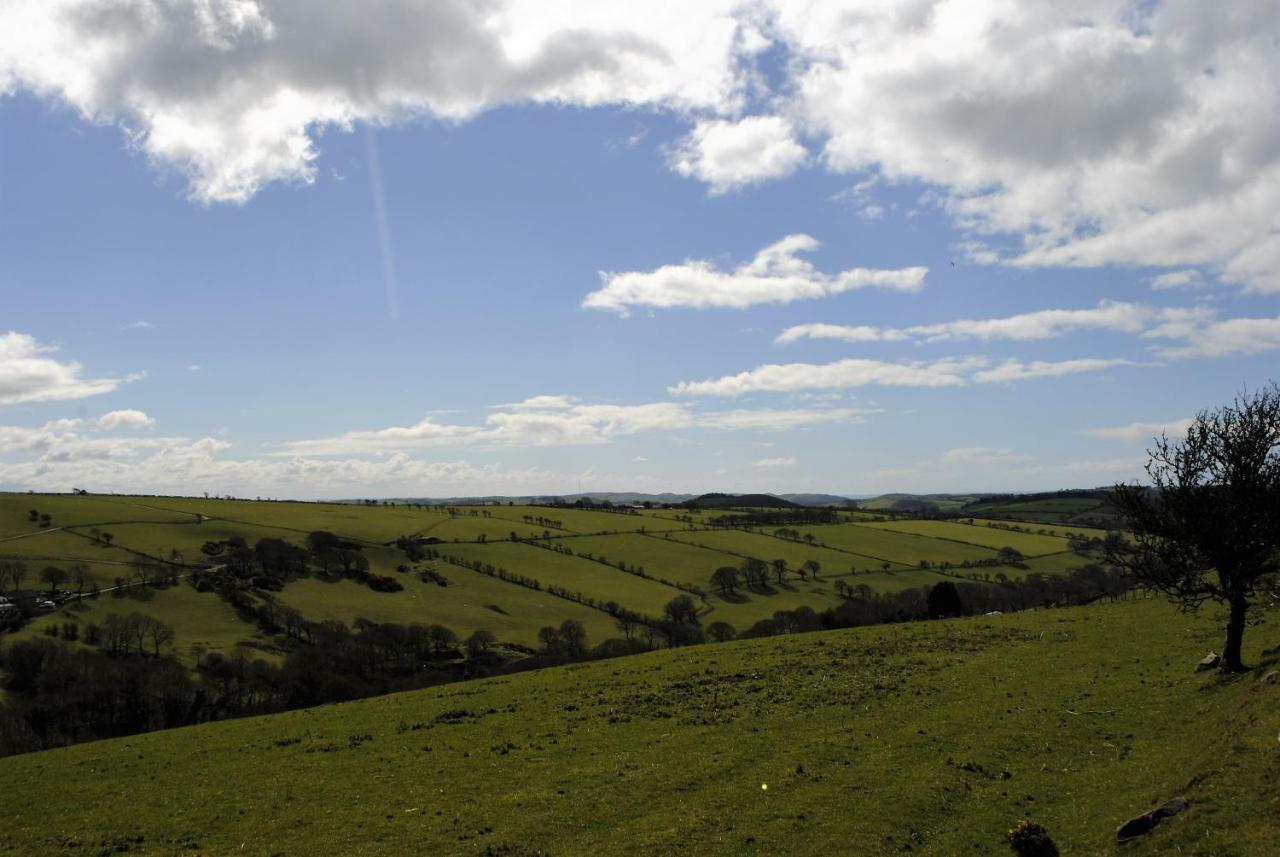 Bro Dafydd Bed & Breakfast Aberystwyth Luaran gambar