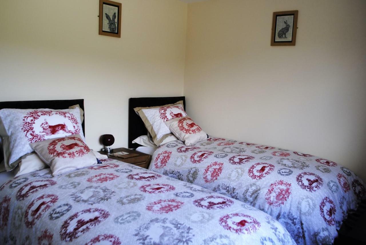 Bro Dafydd Bed & Breakfast Aberystwyth Luaran gambar