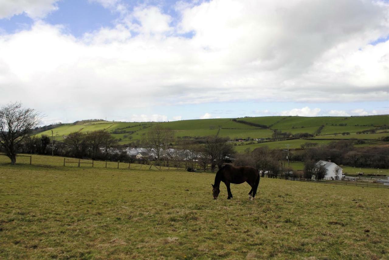 Bro Dafydd Bed & Breakfast Aberystwyth Luaran gambar