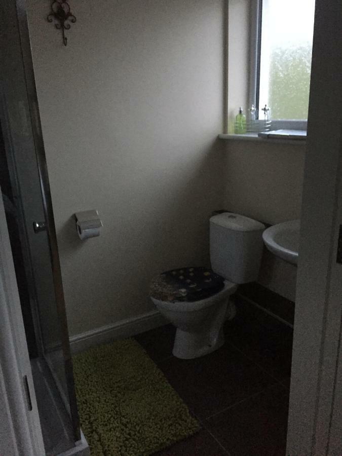 Bro Dafydd Bed & Breakfast Aberystwyth Luaran gambar