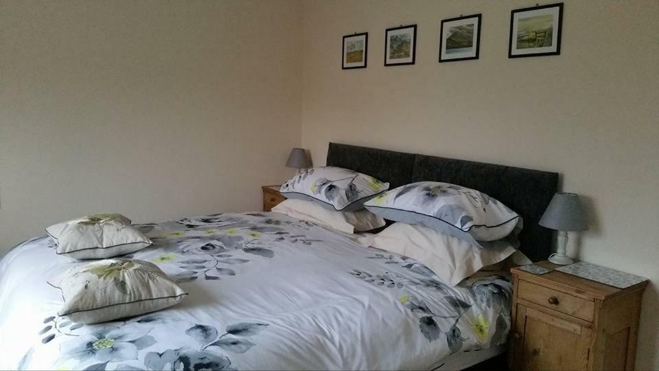 Bro Dafydd Bed & Breakfast Aberystwyth Luaran gambar