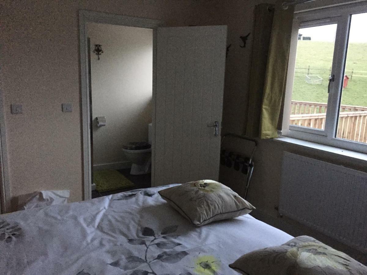 Bro Dafydd Bed & Breakfast Aberystwyth Luaran gambar
